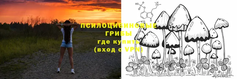 Галлюциногенные грибы Cubensis  MEGA маркетплейс  Белый 